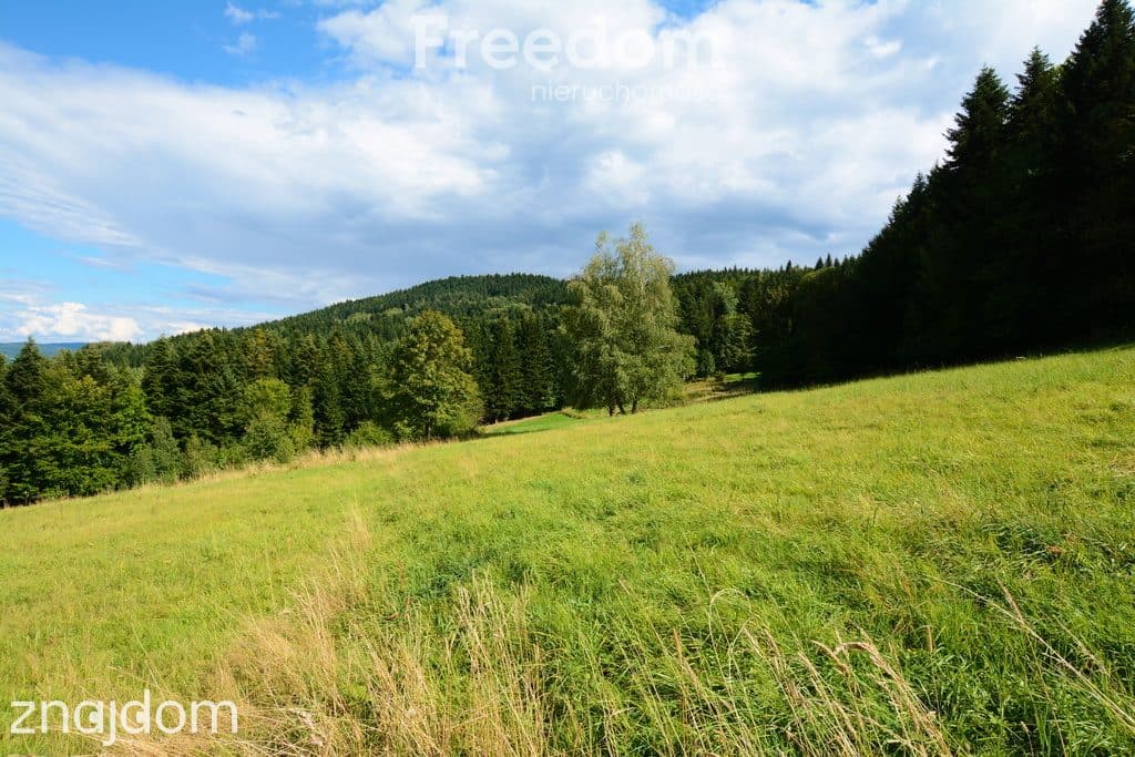 Działki 76 arów z potencjałem inwestycyjnym - zdjęcie 14