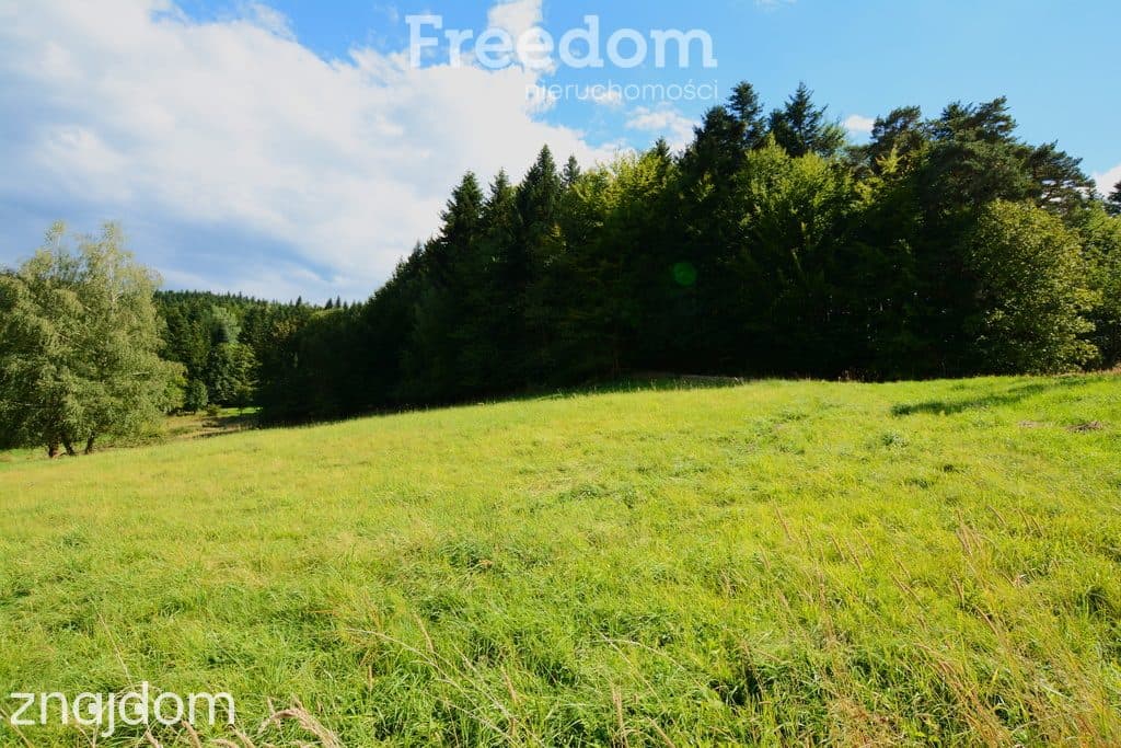 Działki 76 arów z potencjałem inwestycyjnym - zdjęcie 15