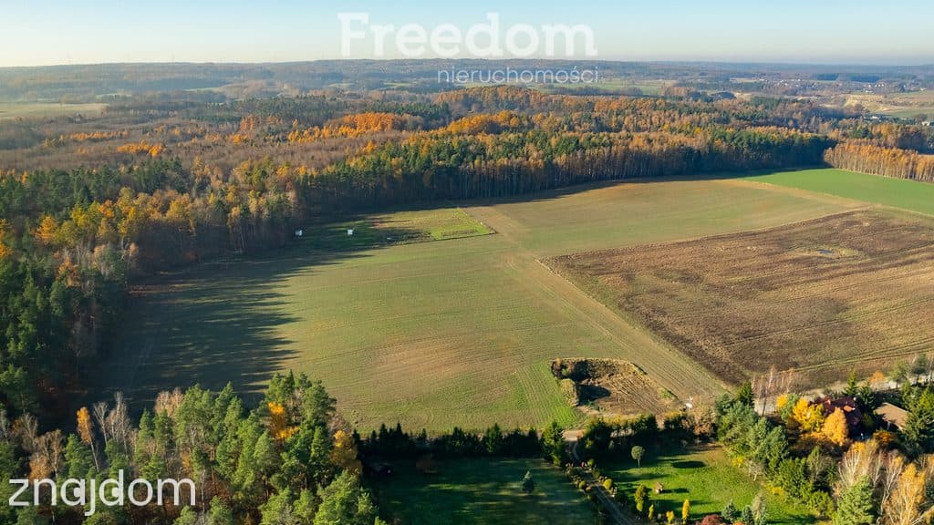 Działka budowlana z usługami blisko lasu ! - zdjęcie 7