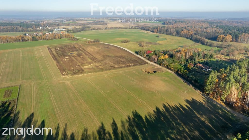 Działka budowlana z usługami blisko lasu ! - zdjęcie 8