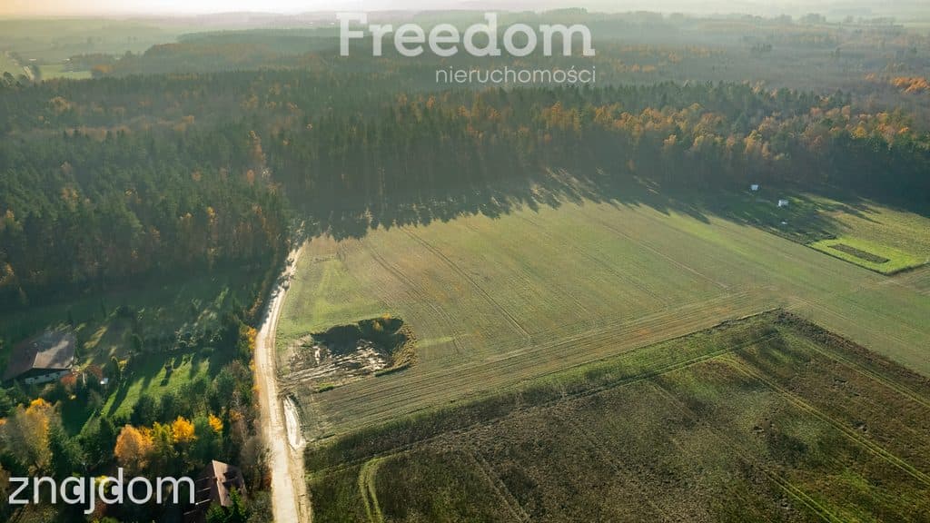 Działka budowlana z usługami blisko lasu ! - zdjęcie 10