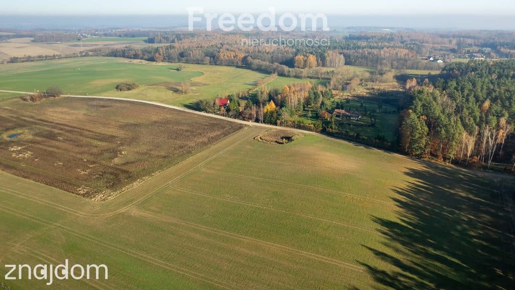 Działka budowlana z usługami blisko lasu ! - zdjęcie 16