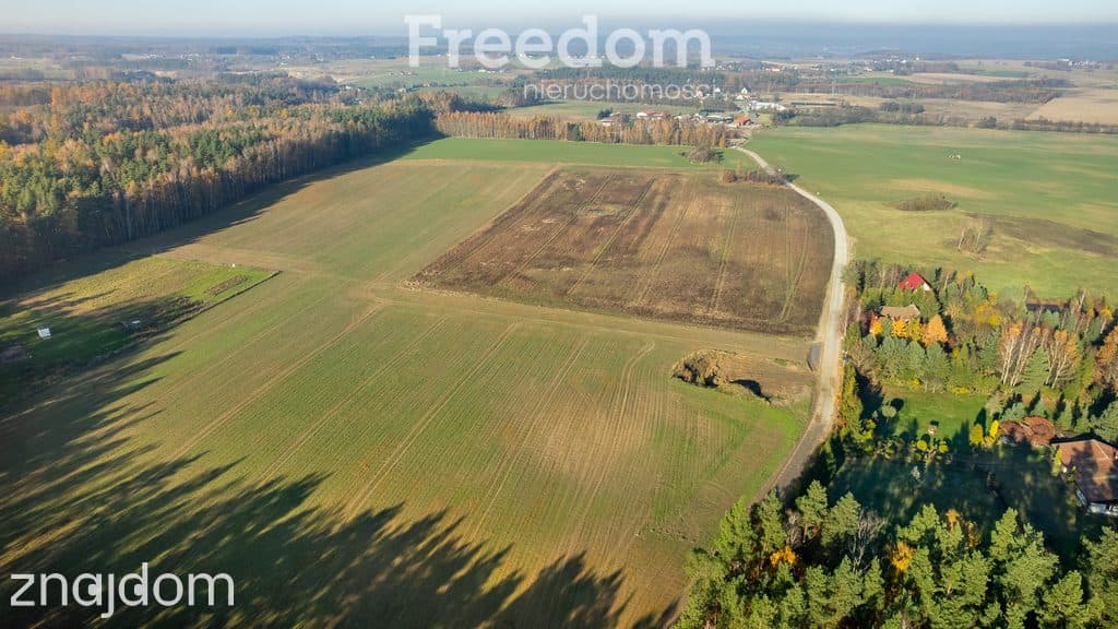 Działka budowlana z usługami blisko lasu ! - zdjęcie 19