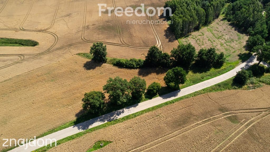 Duża działka z warunkami zabudowy przy A1 ! - zdjęcie 2