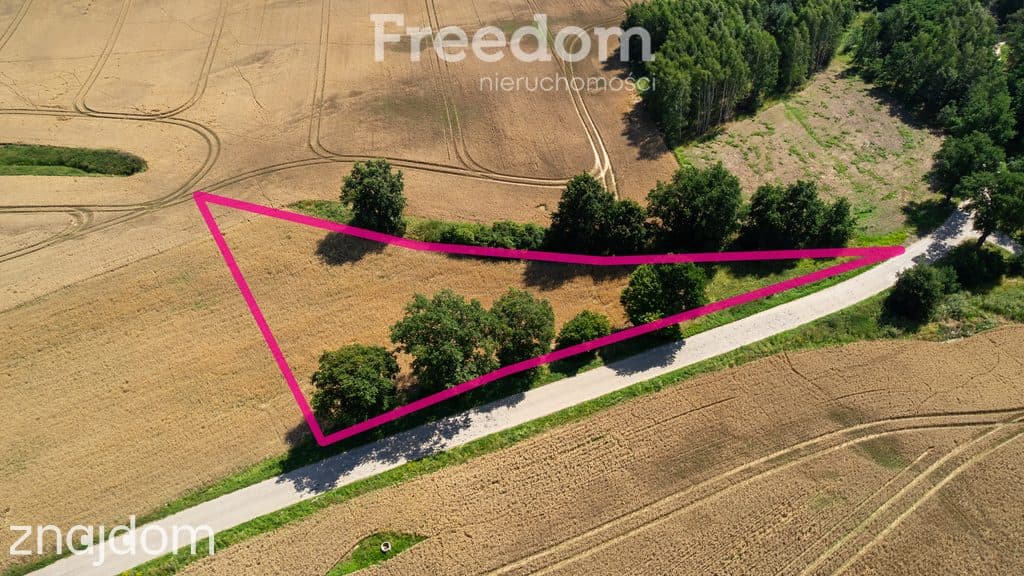 Duża działka z warunkami zabudowy przy A1 !
