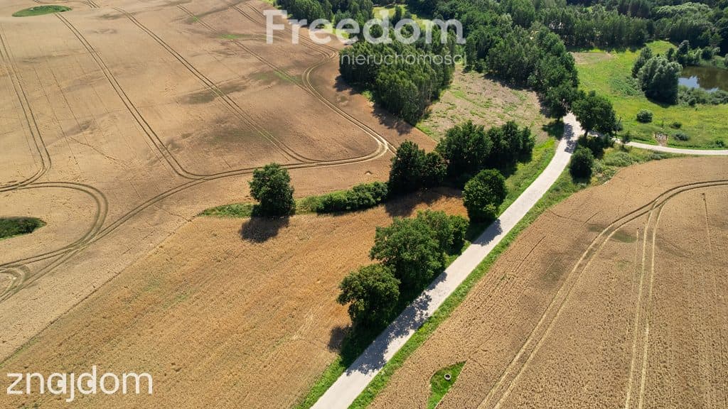 Duża działka z warunkami zabudowy przy A1 ! - zdjęcie 3