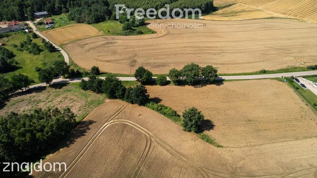Duża działka z warunkami zabudowy przy A1 ! - zdjęcie 6