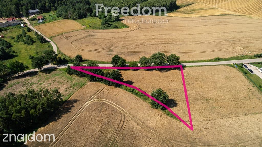 Duża działka z warunkami zabudowy przy A1 ! - zdjęcie 7