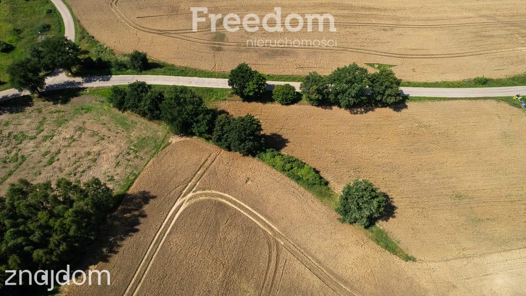 Duża działka z warunkami zabudowy przy A1 ! - zdjęcie 12
