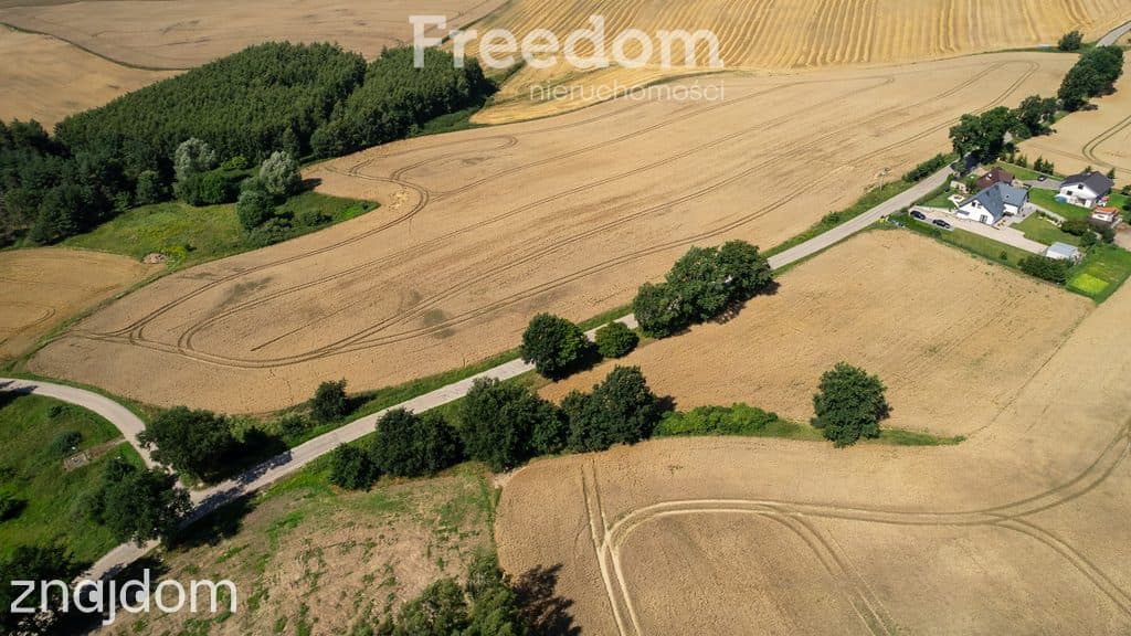 Duża działka z warunkami zabudowy przy A1 ! - zdjęcie 13