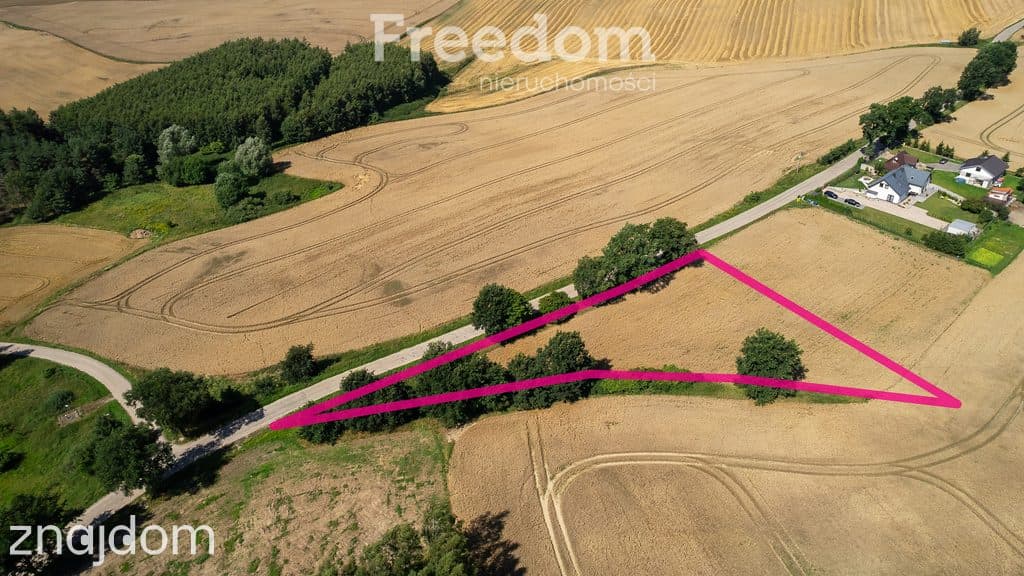Duża działka z warunkami zabudowy przy A1 ! - zdjęcie 14