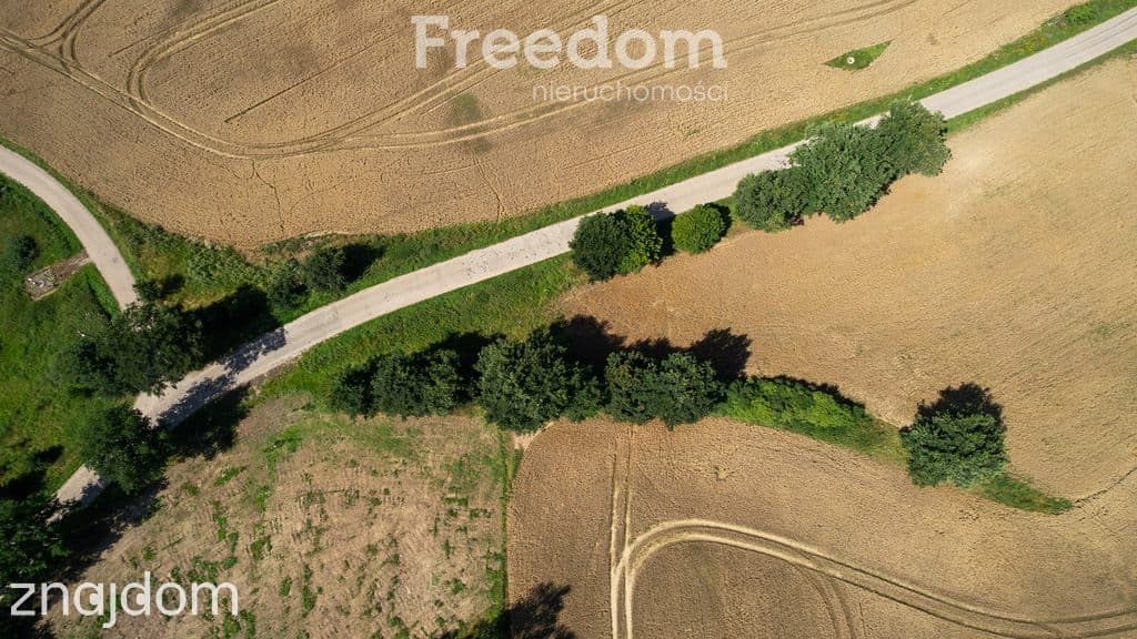 Duża działka z warunkami zabudowy przy A1 ! - zdjęcie 16