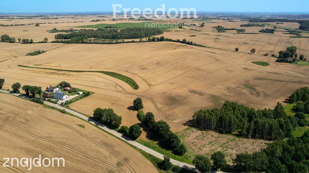 Duża działka z warunkami zabudowy przy A1 ! - zdjęcie 17