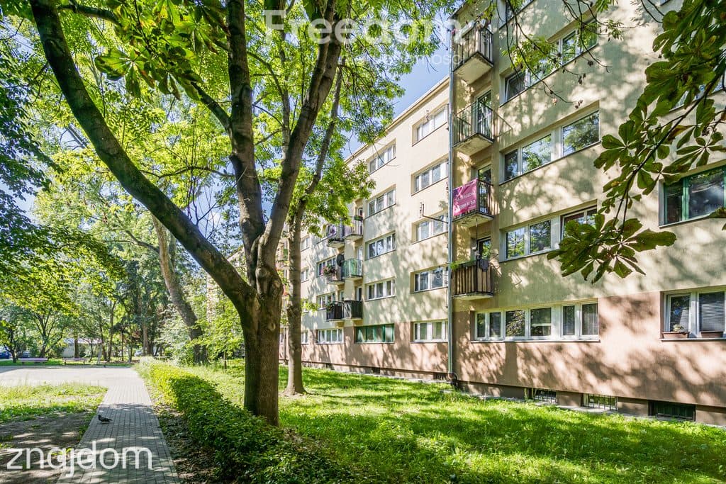 3 pokoje po remoncie w rewelacyjnej cenie - zdjęcie 17