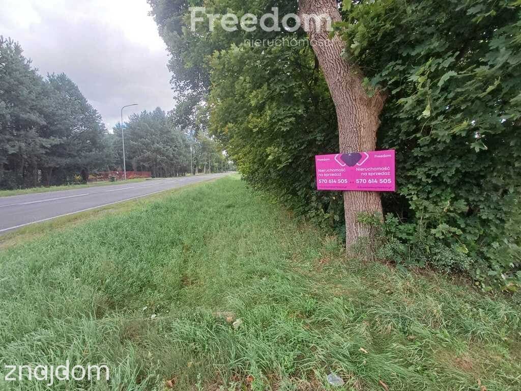 Dom z dużą działką w urokliwym otoczeniu lasu - zdjęcie 19