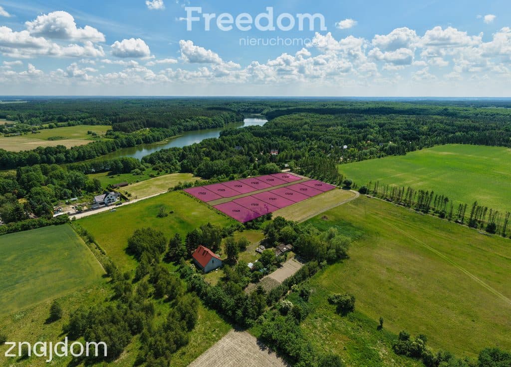 Działki nad jeziorem Nienawiszcz - zdjęcie 6