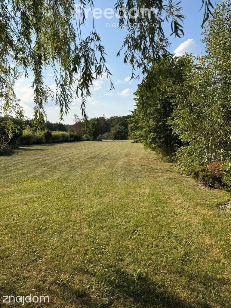 Działka budowlana 5112 m² | Cekanów | potencjał in - zdjęcie 3