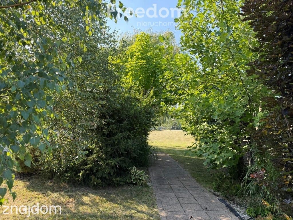 Działka budowlana 5112 m² | Cekanów | potencjał in
