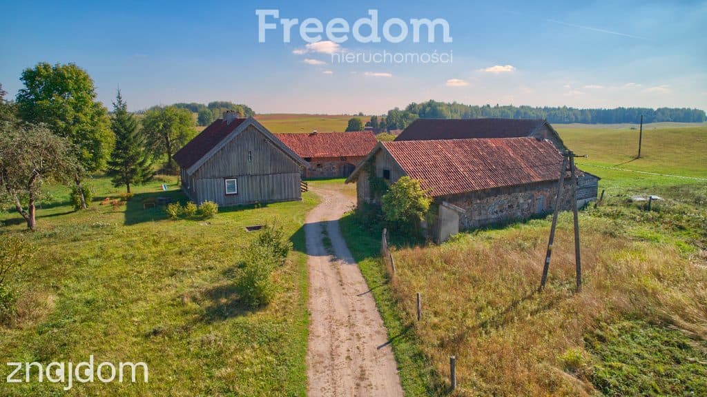 Siedlisko na Mazurach z własnym sadem i stawem - zdjęcie 2