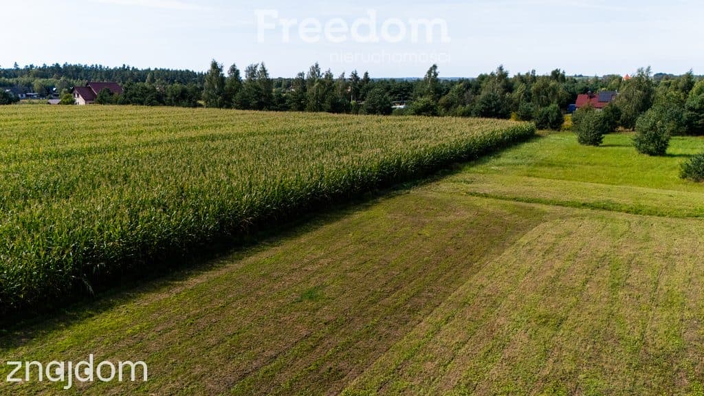 Działka 1224 m² w Rydzewie 700 m od jeziora - zdjęcie 11