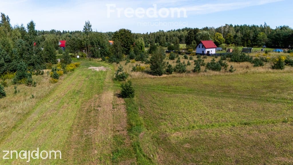 Działka 1235 m² w Rydzewie 700 m od jeziora - zdjęcie 11