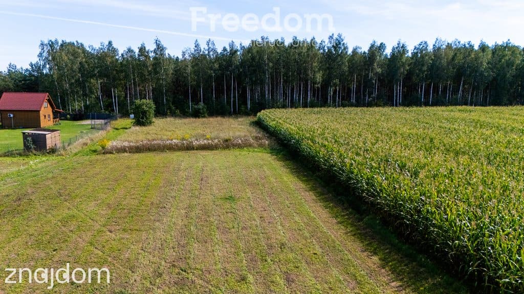 Działka 1235 m² w Rydzewie 700 m od jeziora - zdjęcie 12