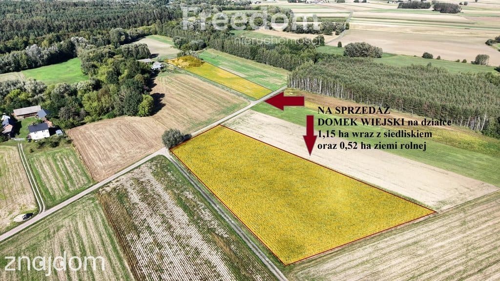 Domek wiejski w dolinie rzeki Kamiennej/Zemborzyn - zdjęcie 7