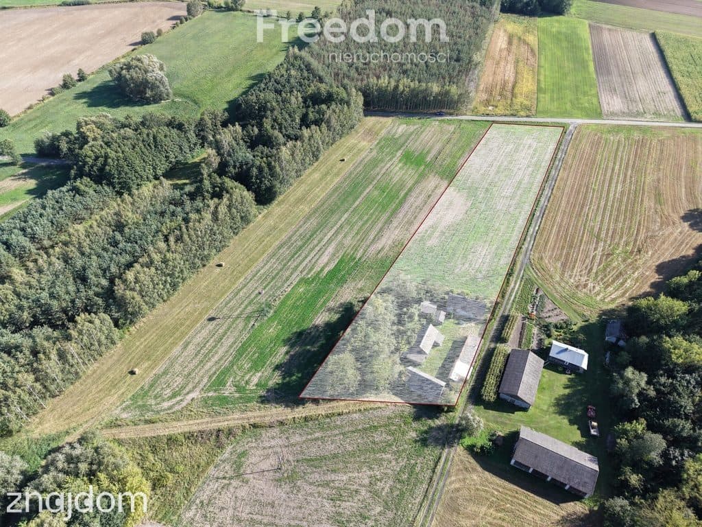 Domek wiejski w dolinie rzeki Kamiennej/Zemborzyn - zdjęcie 17