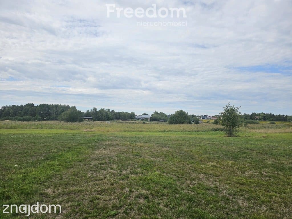 Działka 5200 m² na sprzedaż – Strzałków - zdjęcie 3