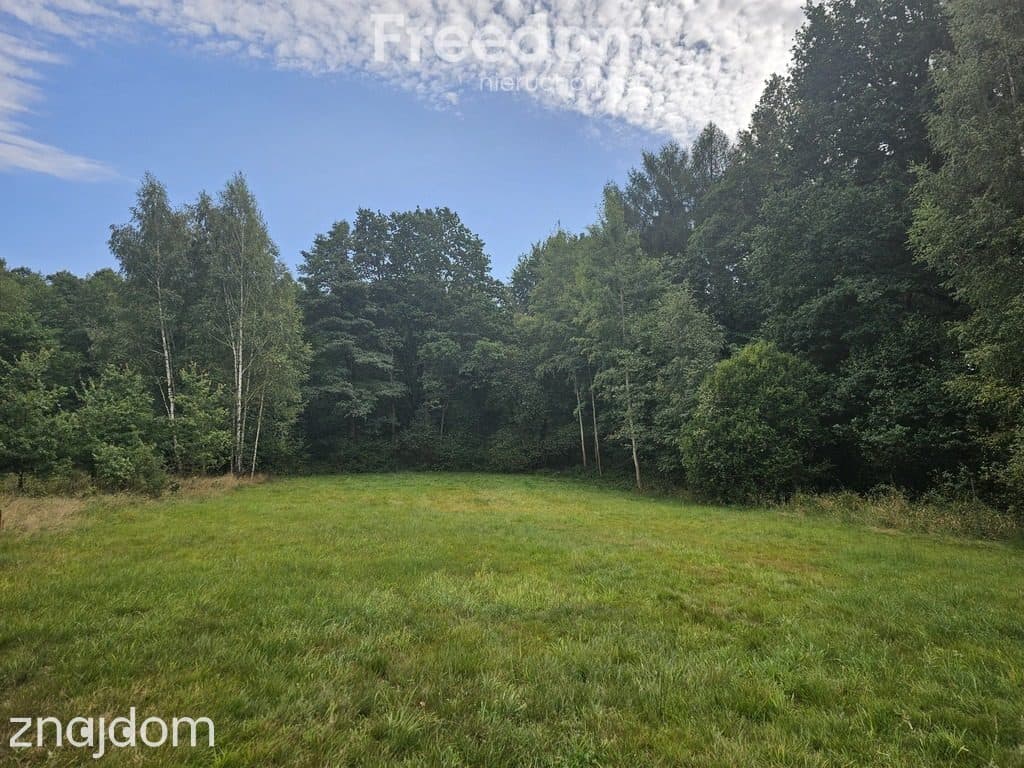 Działka 5200 m² na sprzedaż – Strzałków - zdjęcie 4