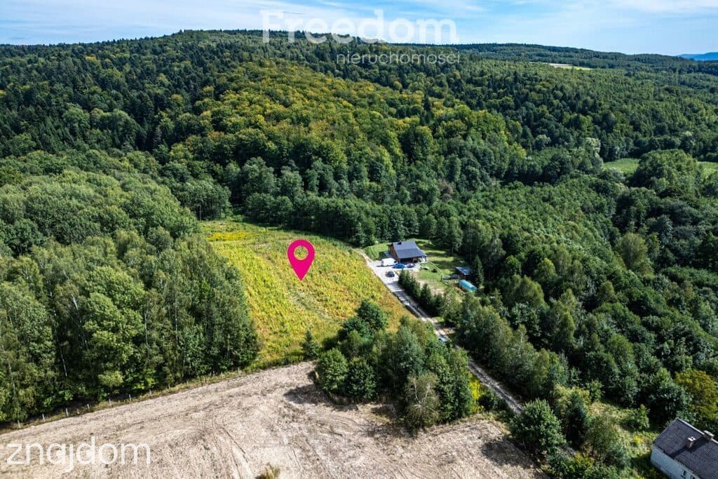 Działka 1,09 ha pod lasem | WZ w toku – Nawsie, cisza - zdjęcie 6