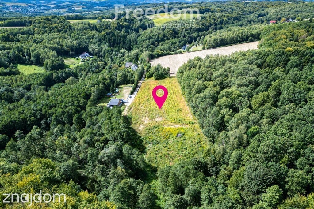 Działka 1,09 ha pod lasem | WZ w toku – Nawsie, cisza - zdjęcie 2