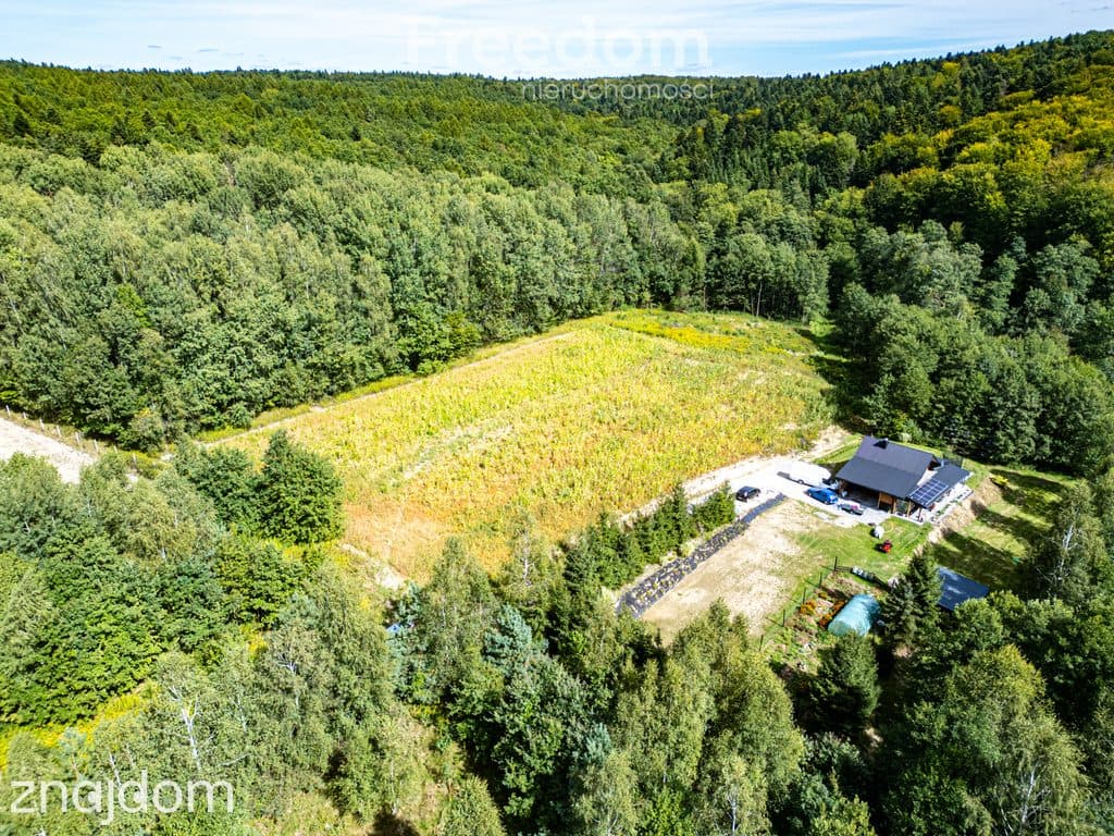 Działka 1,09 ha pod lasem | WZ w toku – Nawsie, cisza - zdjęcie 7