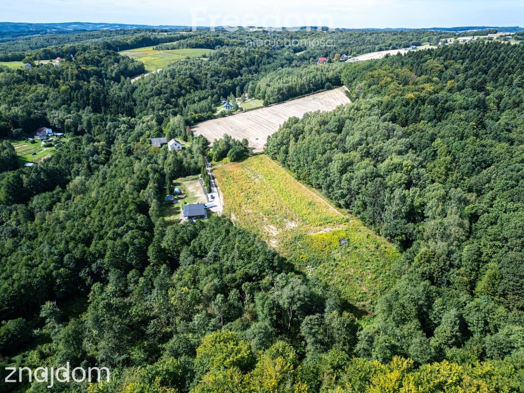 Działka 1,09 ha pod lasem | WZ w toku – Nawsie, cisza - zdjęcie 10