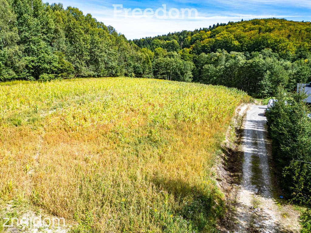 Działka 1,09 ha pod lasem | WZ w toku – Nawsie, cisza - zdjęcie 3