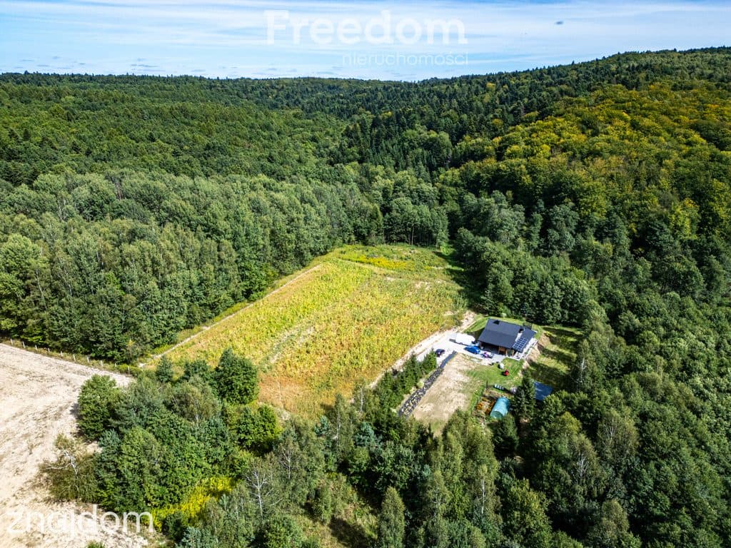 Działka 1,09 ha pod lasem | WZ w toku – Nawsie, cisza - zdjęcie 9