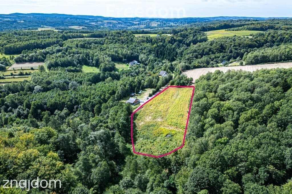 Działka 1,09 ha pod lasem | WZ w toku – Nawsie, cisza - zdjęcie 8