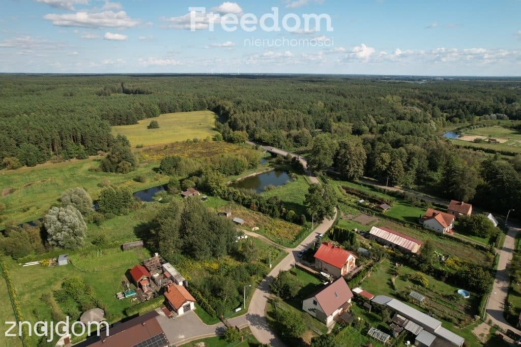 Działka z linią brzegową rzeki i warunkami - zdjęcie 5