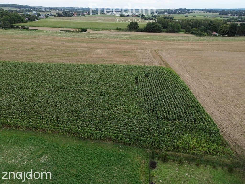 Atrakcyjne działki blisko Zamościa, Borowina - zdjęcie 2