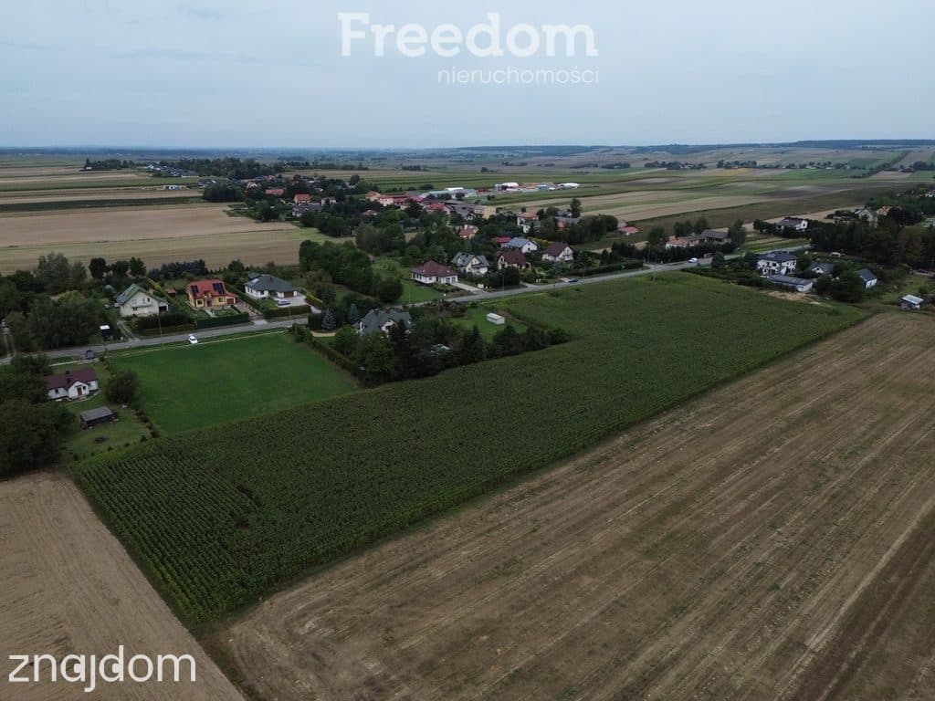 Atrakcyjne działki blisko Zamościa, Borowina - zdjęcie 4