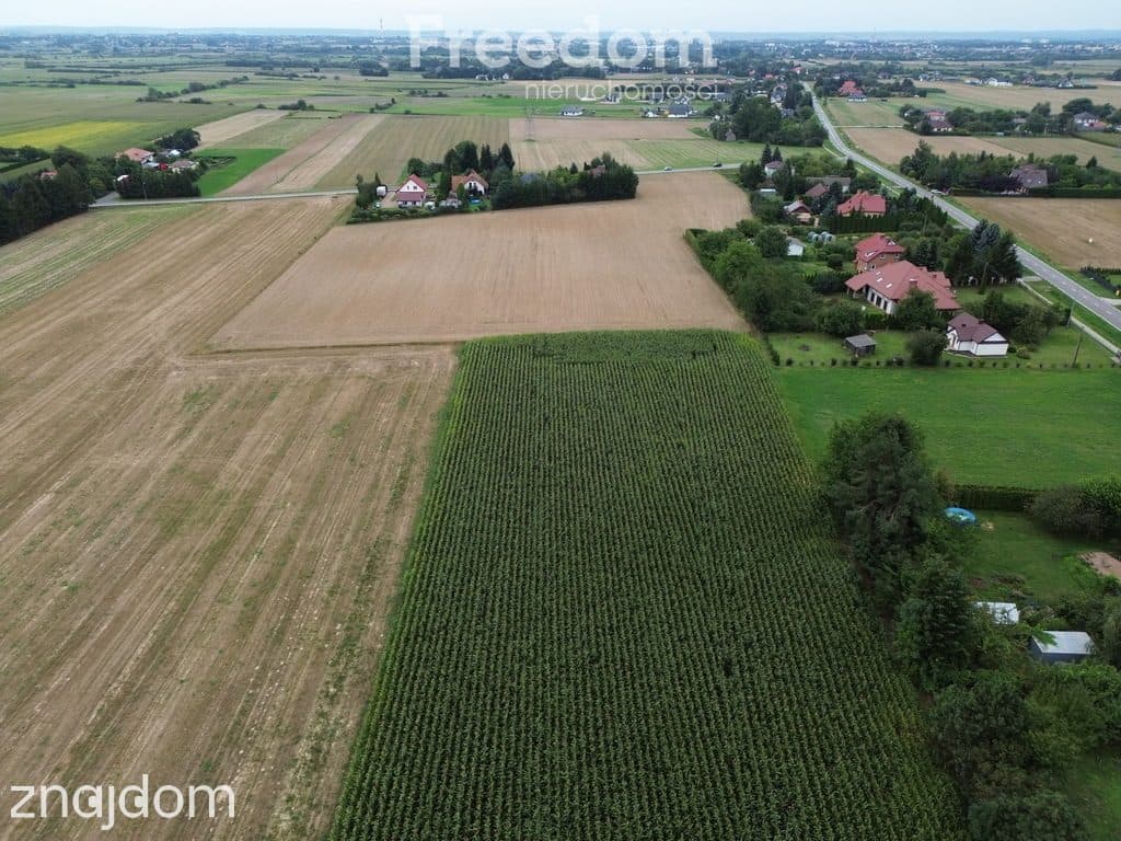 Atrakcyjne działki blisko Zamościa, Borowina - zdjęcie 5