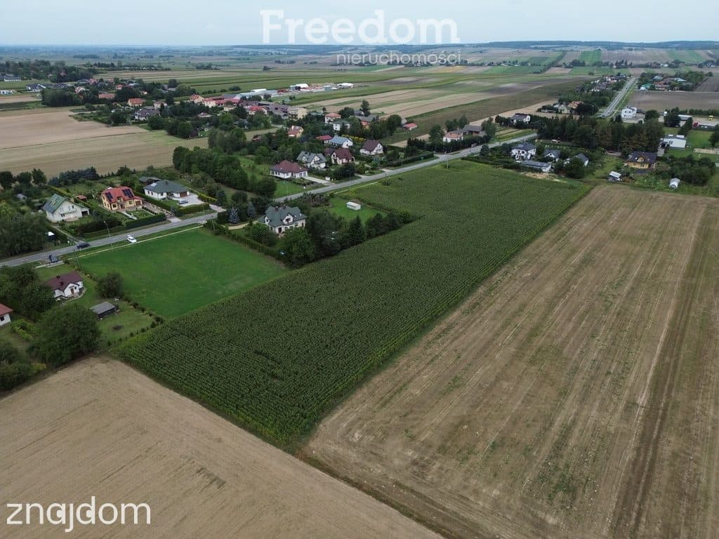 Atrakcyjne działki blisko Zamościa, Borowina - zdjęcie 7