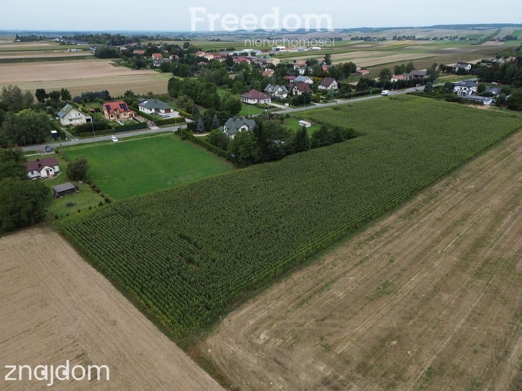 Atrakcyjne działki blisko Zamościa, Borowina - zdjęcie 8