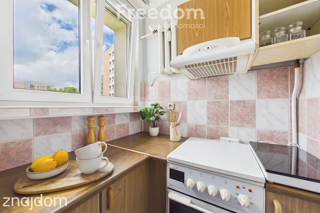 2-pokojowe mieszkanie w centrum Elbląga - zdjęcie 7