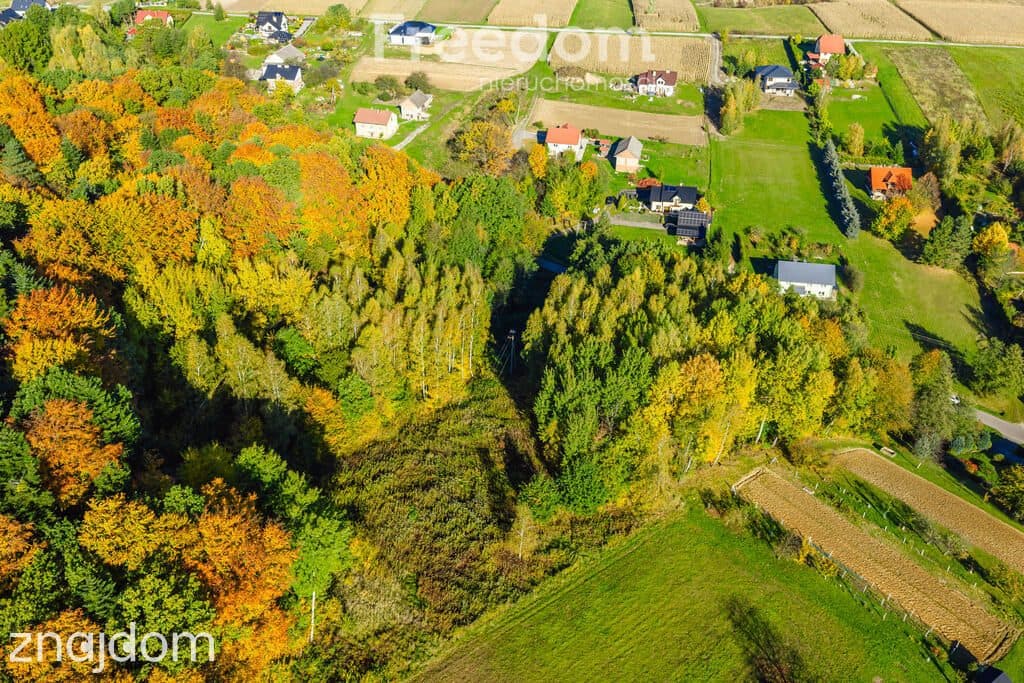 Działka budowlana | las | WZ | Mogielnica - zdjęcie 7