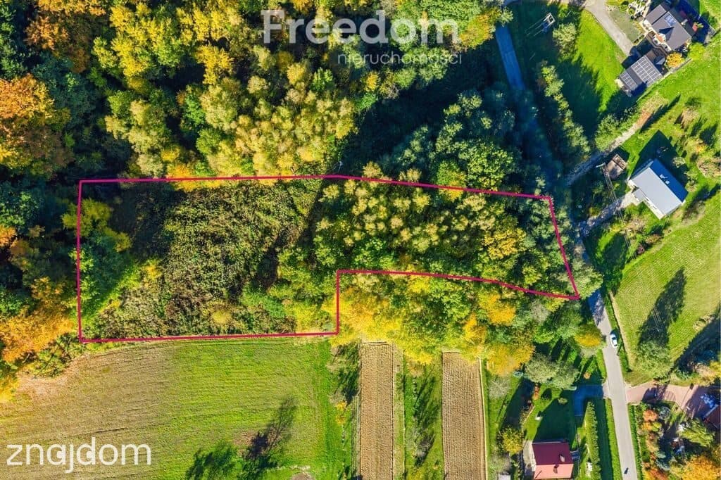 Działka budowlana | las | WZ | Mogielnica - zdjęcie 3