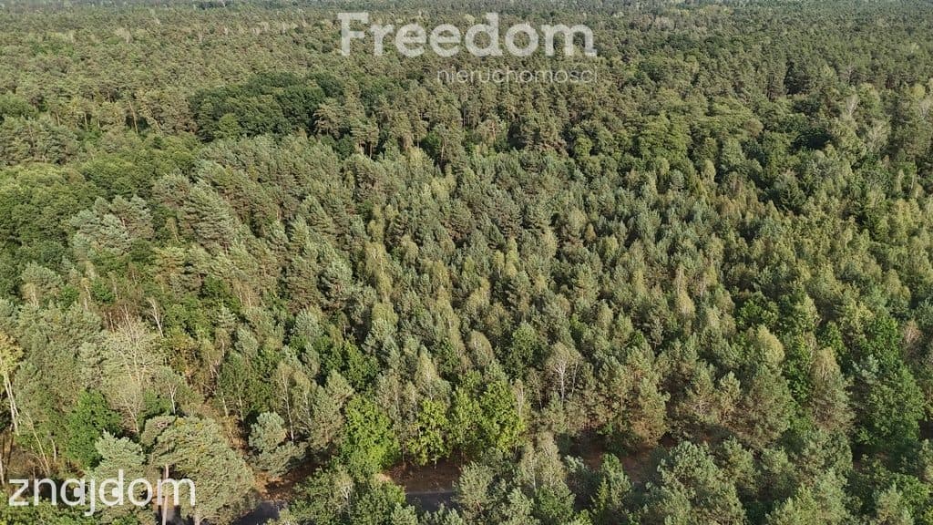 Na sprzedaż działka w Ostrowcu Św. – Las Rzeczki! - zdjęcie 3