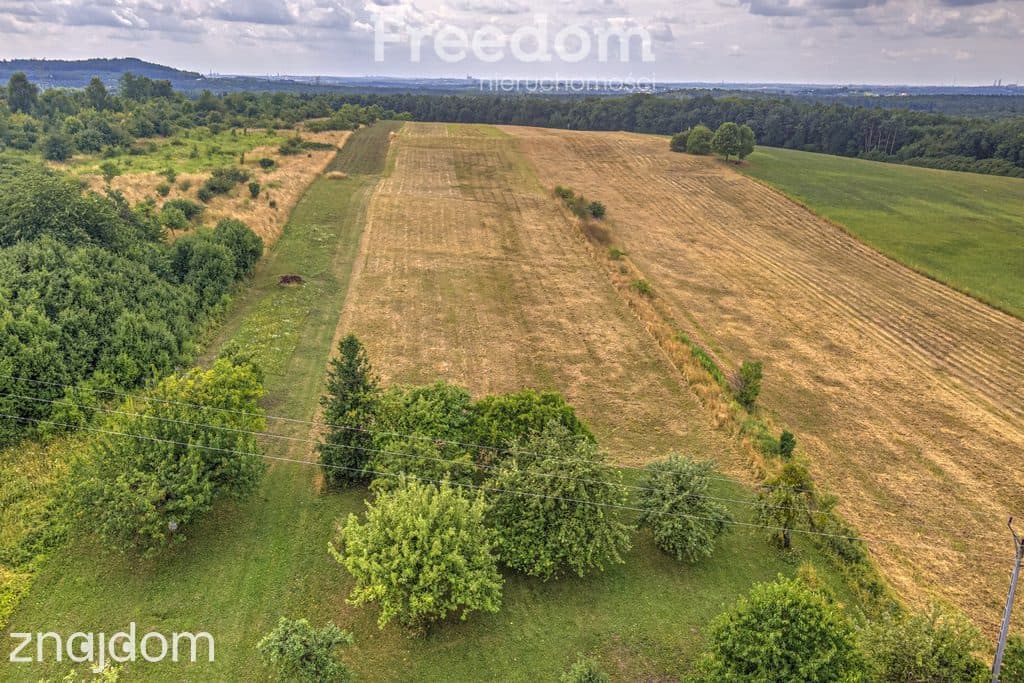 Działka rolna 1,7 ha - zdjęcie 3