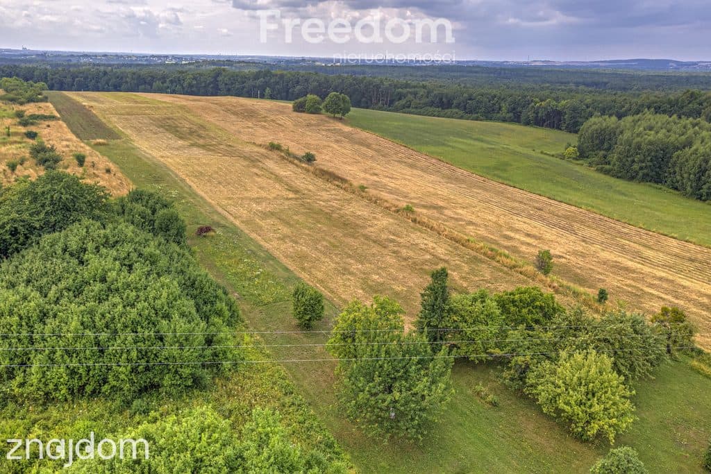 Działka rolna 1,7 ha - zdjęcie 4