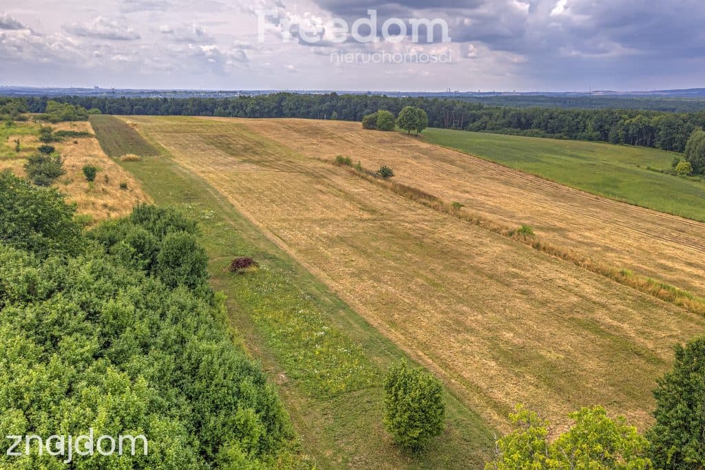 Działka rolna 1,7 ha - zdjęcie 5